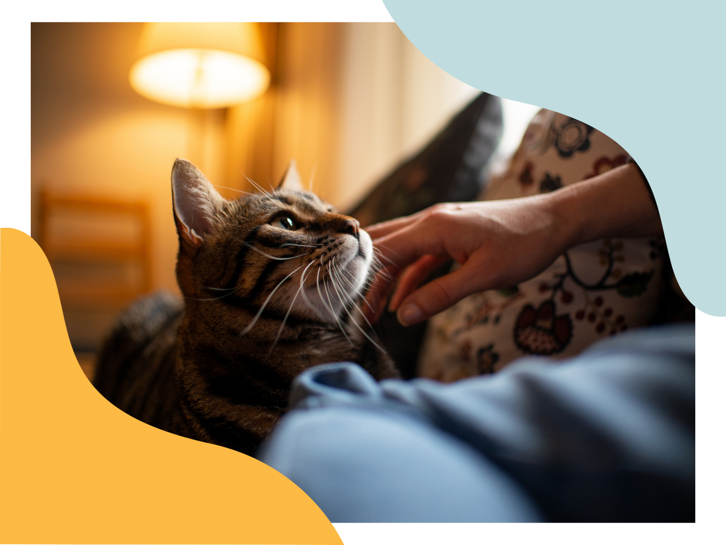 A person relaxing on a couch, petting a cat