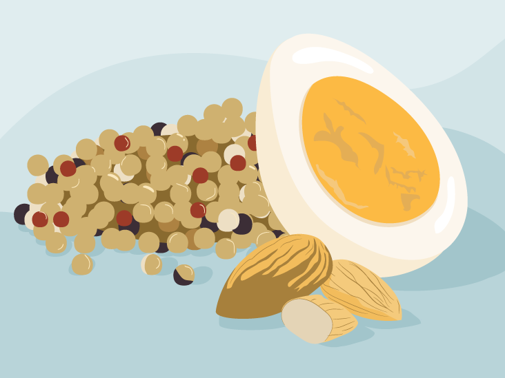 Illustration of quinoa, egg half, and almonds representing protein-rich foods
