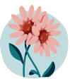 Daily Dose floral illustration icon