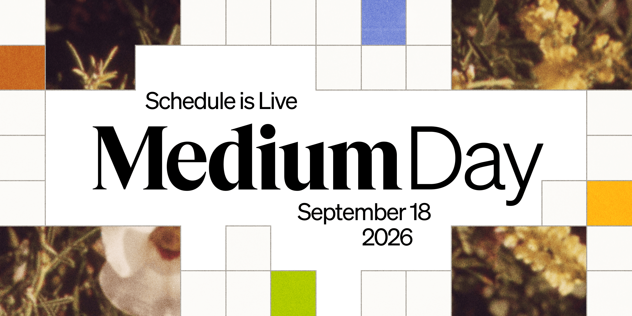 Medium Day