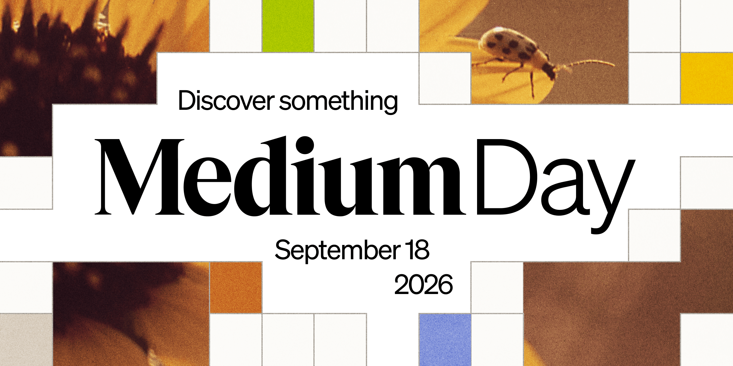 Medium Day